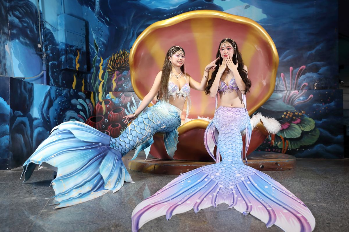 遠雄海洋公園「美人魚嘉年華」起跑  美人魚守護聯票 國際人魚賽事登場