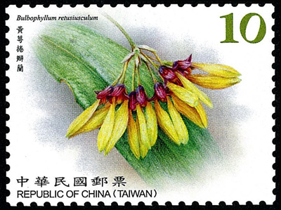 添印臺灣野生蘭花郵票（續3）