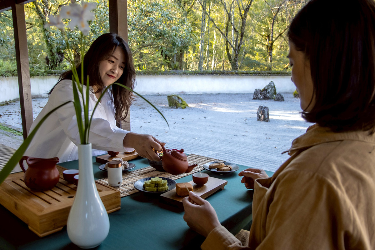 力麗馬告生態園區 以茶席、溫泉與櫻花打造山林轉場的季節旅程
