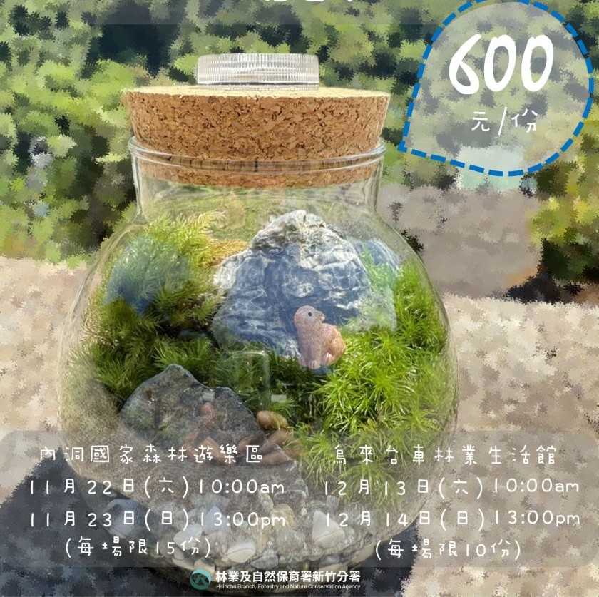 「把森林帶回家」療癒系手作體驗來了！內洞、烏來台車雙場次暖心開辦