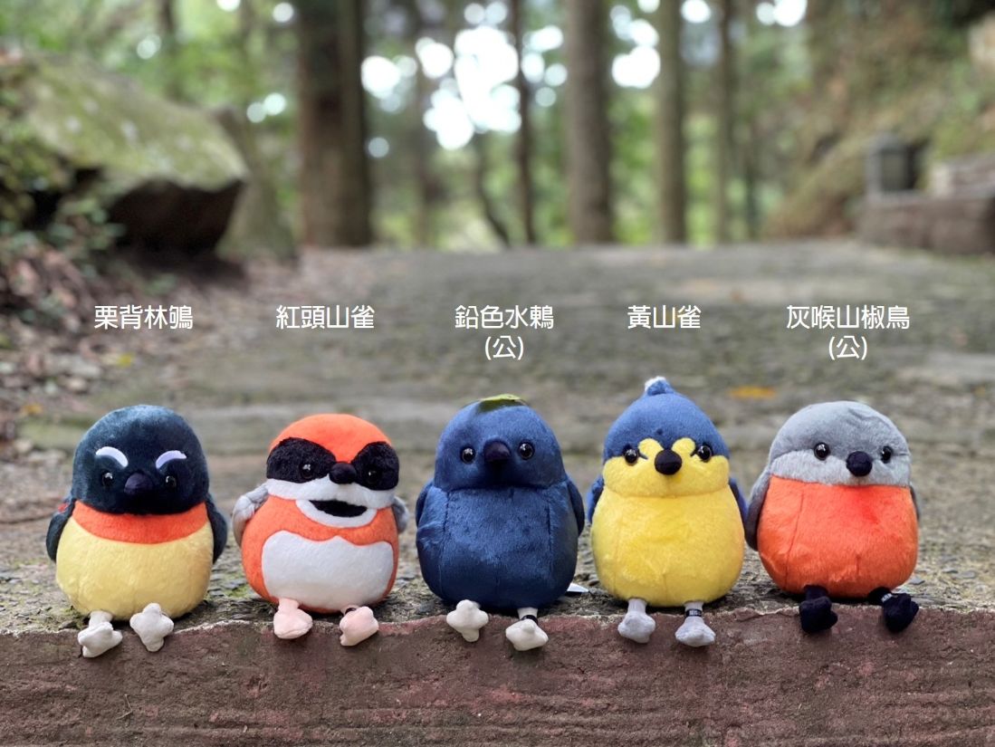 新竹分署明星商品「森林羽精靈」，飛進日系雜貨品牌「DECO HOME」