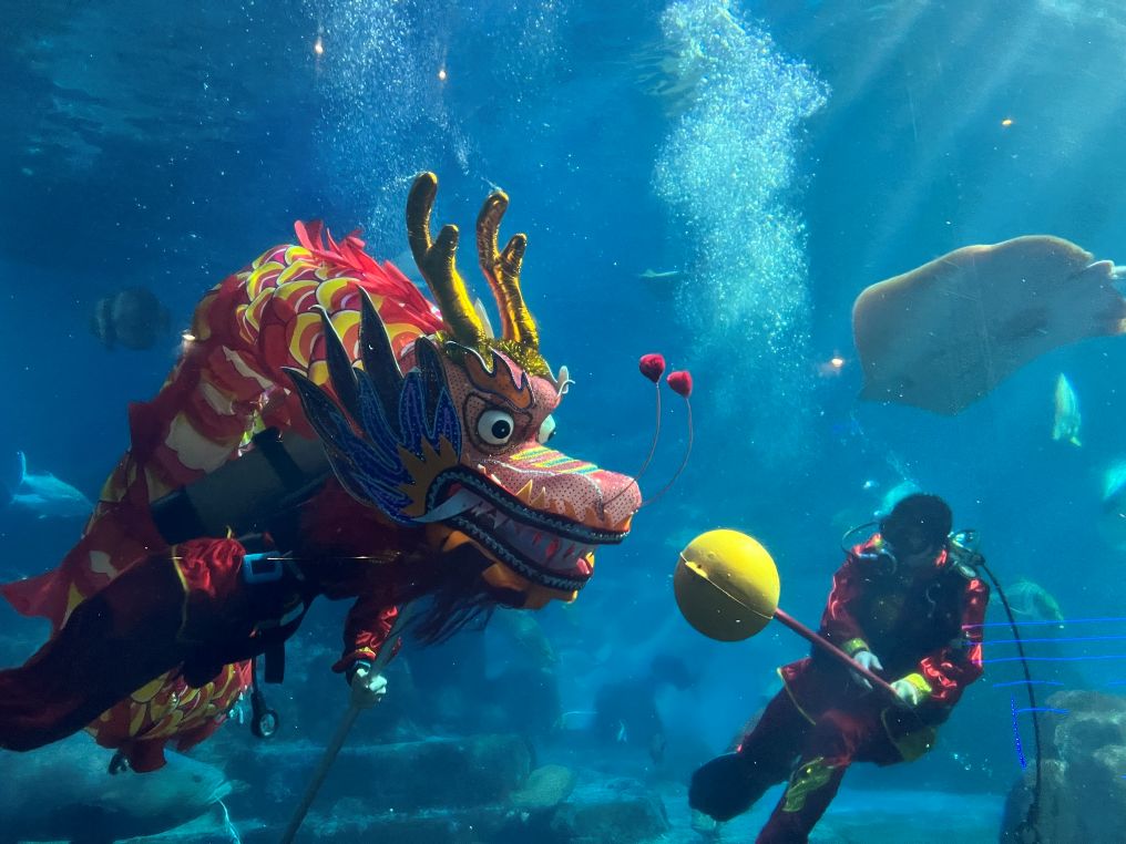 全台唯一水下舞龍登場！  遠雄海洋公園節慶限定演出 歡樂迎新春