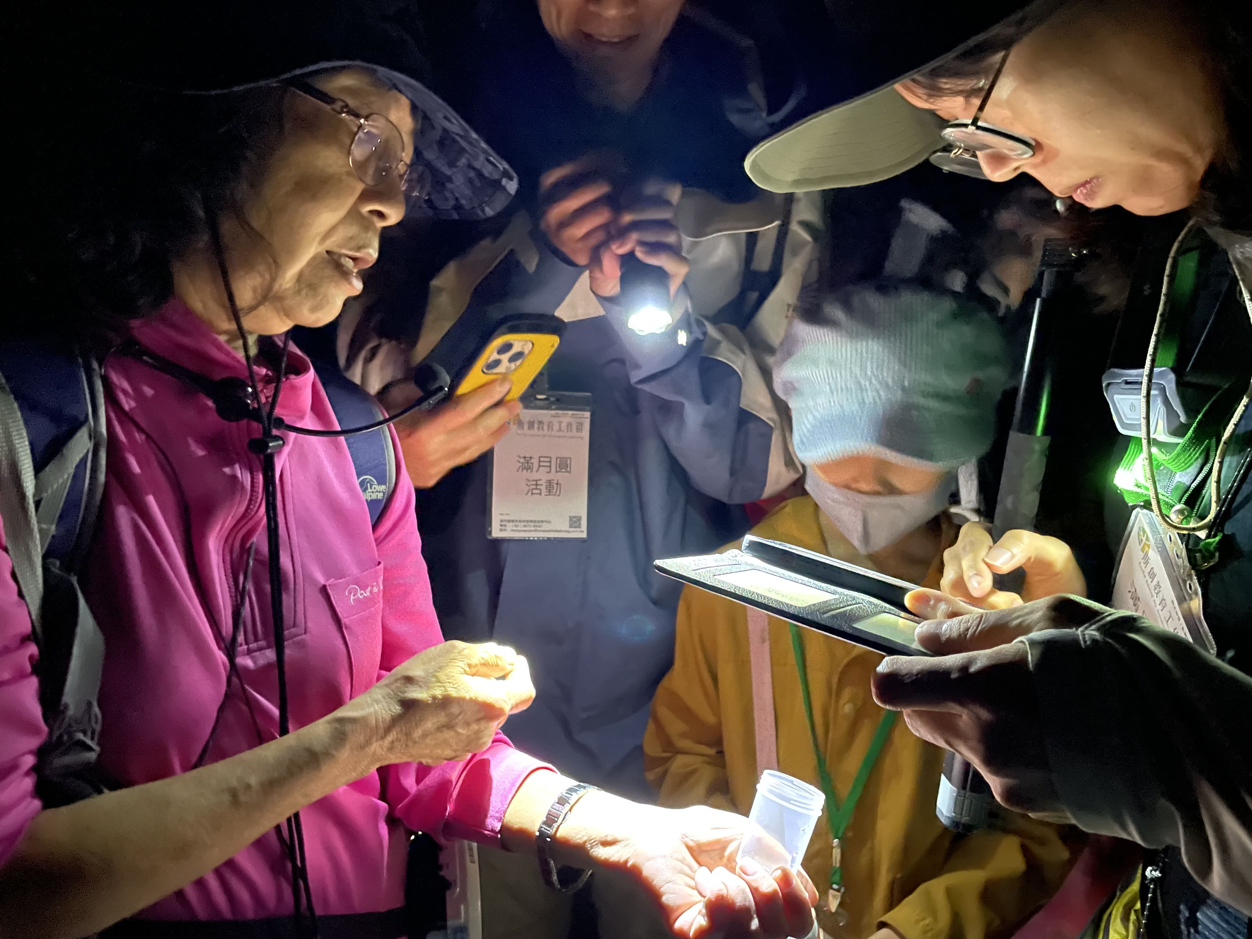 森林夜色微光再現　滿月圓螢火蟲季展開