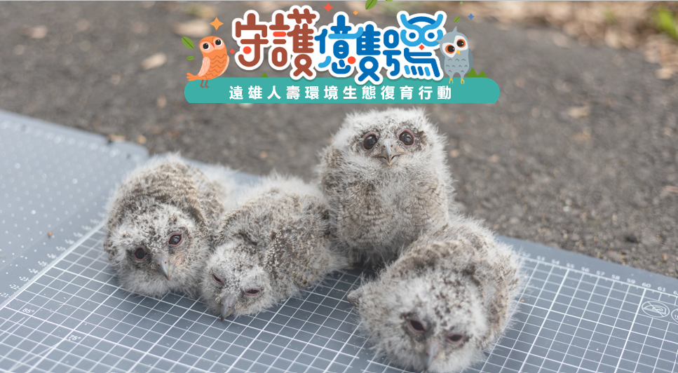 遠雄人壽「守護億隻鴞」計畫 生態環保標竿  獲 Bio-Power 30×30 生物多樣性行動獎