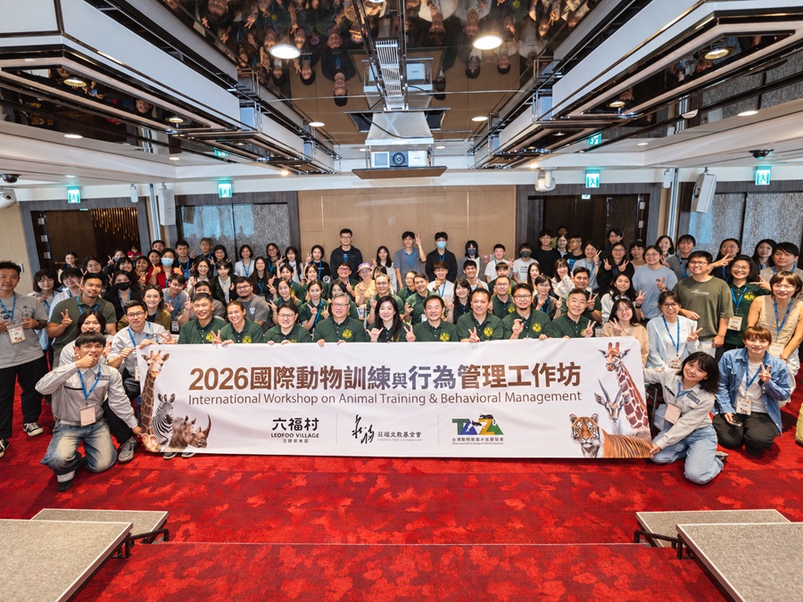 讓長頸鹿、犀牛自願配合抽血、超音波 六福引進國際動物行為管理 美國、新加坡專家來台　逾百人報名，獸醫、照養人員齊聚交流
